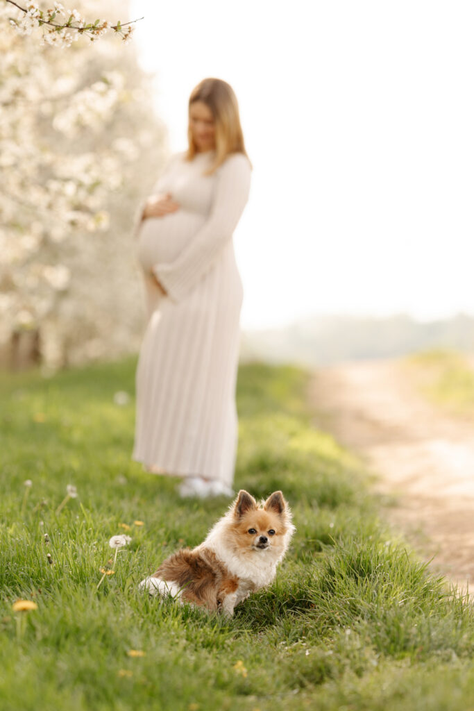 Worms Mainz Babybauch Bilder Fotoshooting Schwangerschaftsfotos Babybauchbilder Babybauchfotoshooting Fotoshooting